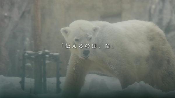 旭山動物園裡感受到的「生命」融入刷手服──與Wonder Art共創的應援商品起點 - Classico克萊希台灣官方網站